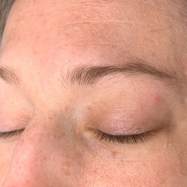 Powder brows before result — fair blonde client