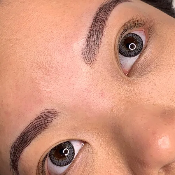 Eyebrow microblading after result — olive skin, defined brows